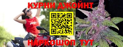 гидра Белореченск