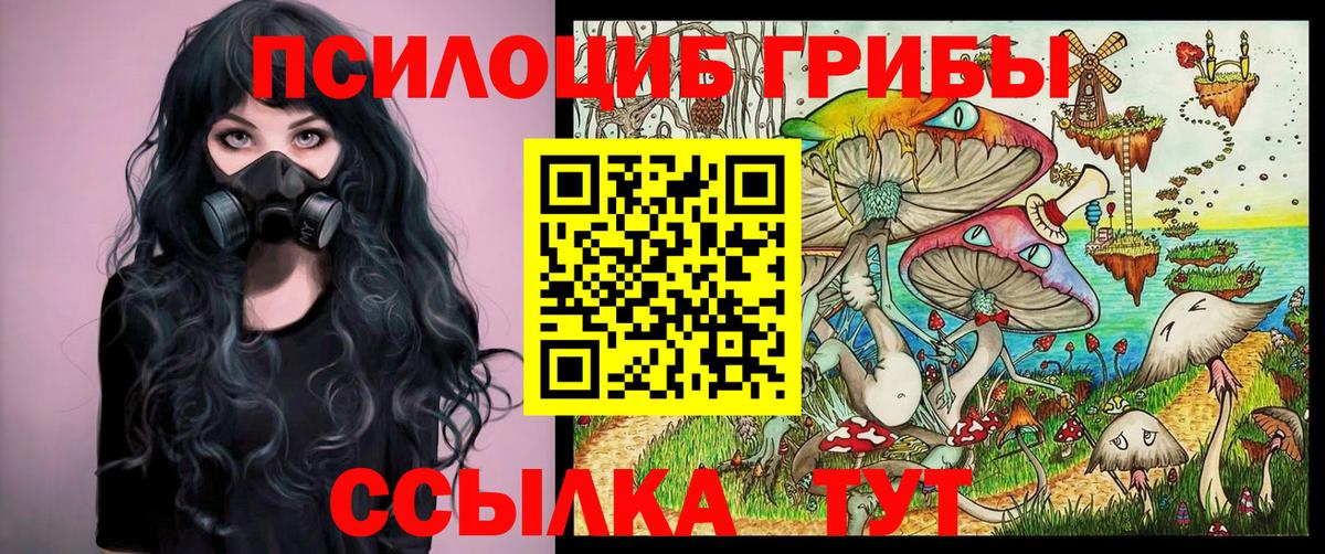 цены наркотик  Галлюциногенные грибы GOLDEN TEACHER  Вход с VPN  Горно-Алтайск 
