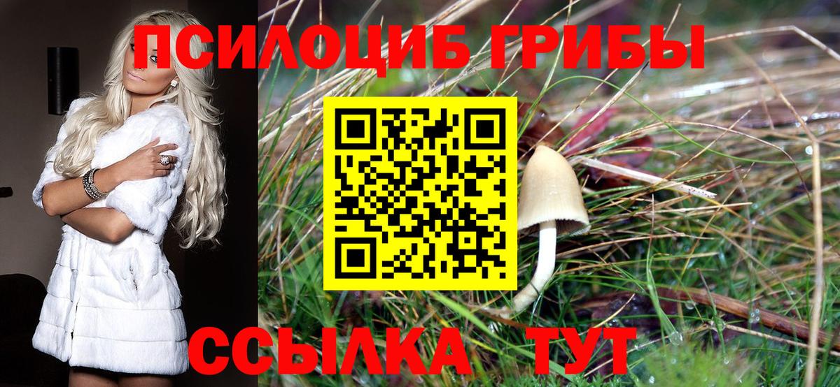Alpha-PVP Горно-Алтайск